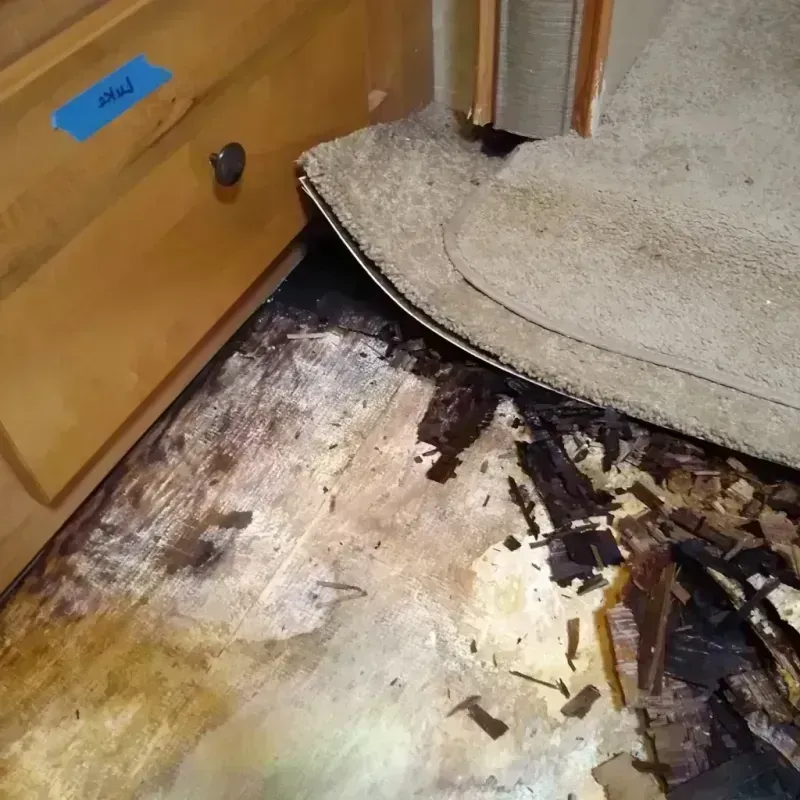 Wood Floor Water Damage in Citrus Springs, FL